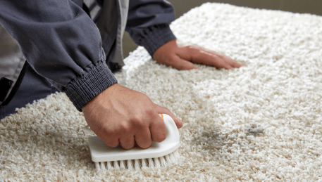 Professional Rug Cleaning Staughton Vale